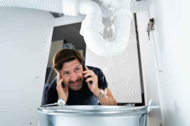 Best Commercial Plumbing Services  in Gold Canyon, AZ